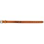 Antkaklis Zolux LEATHER LINED, smėlio ruda, 350 mm x 16 mm