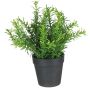 Dirbtinis augalas vazone, vaistažolės Splendid, 22 cm