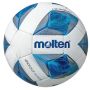 Futbolo kamuolys Molten Futsal Training F9A2000