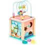 Lavinimo žaislas EcoToys HM015471