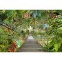 Fototapetas Komar WILD BRIDGE 8-977, 254 cm x 368 cm