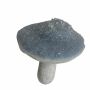 Eglutės žaisliukas Christmas Touch Mushroom, 8 cm