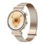 LAIKRODIS IŠMANUSIS HUAWEI WATCH GT 6 41MM AUKSO