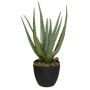 Dirbtinis augalas vazone Atmosphera Aloe, 44 cm