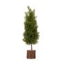 Dirbtinė Kalėdų eglutė Christmas Touch HF7376, 35 cm