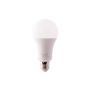 LEMPUTĖ LED WIFI A100 E27 14W 1521LM RGBW