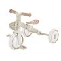 Vaikiškas dviratis Globber LEARNING TRIKE 2IN1 PLUS