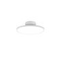 Šviestuvas lubinis Trio TRAY, 29 W, LED