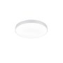 Šviestuvas Trio WACO, lubinis, 52.5 W, LED