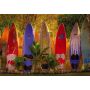 Fototapetas Komar Maui 8-902, 368 cm x 254 cm