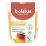 Žvakė, aromatinė Bolsius Happy Mango, 25 h, Oranžinė