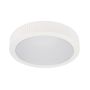 Šviestuvas plafonas Domoletti, LED, 33W, 3000K, 660lm, Ø52