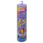 Lėlė Barbie COLOR REVEAL, 29 cm