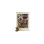 Tabletės auginimui Witasek GROWIT NATUR 831123