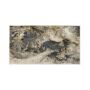 Kilimas vidaus Domoletti NORWAY 28003/ZC4-H 0.67X1.20M