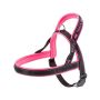 PETNEŠOS SM HARNESS ROŽINĖS