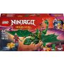 LEGO® Ninjago Lloyd's Green Forest Dragon, 128 vnt.