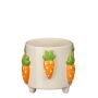 Gėlių vazonas Mica CARROT, keramika, baltas/oranžinis