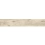 Įmontuojamas gartraukis Electrolux Series 300 LFP326FB