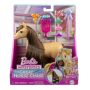 Lėlių rinkinys Barbie Barbie Mysteries HXJ29, 25 cm