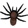 Dekoracija Spider 746952, juoda, 110 mm, plastikas, 6 vnt.