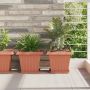 Kvadratinis gėlių padėklas 24 pcs Raudona plyta 21 x 21 x 2 cm