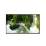 LG UHD Signage | 65UL3Q-E | 65  | 350 cd/m² | Landscape/Portrait | 16/7 | webOS | 8 ms | 178 ° | 178 °