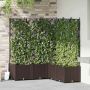 Sodo vazonas 5 pcs Ruda 120 x 120 x 143 cm Plienas