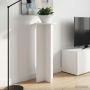Augalų stovas 2 pcs Balta Ø40 x 100 cm Apdirbta mediena