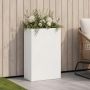 Sodo vazonas Balta 50 x 20 x 75 cm Šaltai valcuotas plienas