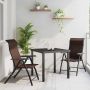 Sodo valgomojo komplektas 3 pcs Ruda