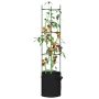 Pomidorų narvai su augalų maišeliais, 4vnt., 154cm, plienas/PP