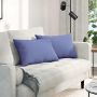 Sofa Pagalvės 2 pcs Džinsinės mėlynos 60 x 40 cm audinys