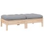 Dvivietė sodo sofa su pilkomis pagalvėlėmis, pušies masyvas