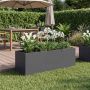 Sodo vazonas Antracito 60 x 20 x 20 cm Šaltai valcuotas plienas