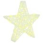 3D žvaigždė su 50 LED Šilta balta 55 x 53.5 x 10 cm Akrilas