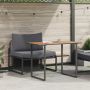 Lauko plieniniai sėdimieji 2 pcs Antracitas Plienas