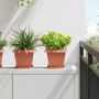 Kvadratinis gėlių vazonas 6 pcs Raudona plyta 20 x 20 x 16 cm