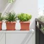 Kvadratinis gėlių padėklas 6 pcs Raudona plyta 18 x 18 x 2 cm