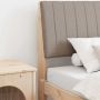 Apmušta lovos galvūgalis Taupe 100 cm Kietos pušies mediena