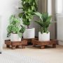 Augalų stovas 3 pcs Ruda Mahogany Medis