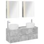 Vonios baldų rinkinys 5 pcs Betono pilka
