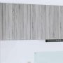 Pakabinama spintelė su saugykla Pilkas Sonoma 80 x 31 x 80 cm