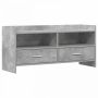 Televizoriaus spintelė 100 x 33 x 47 cm Betono pilka