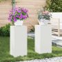 Augalų stovas 2 pcs Balta 24 x 24 x 55 cm Plienas
