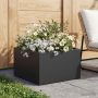 Sodo vazonas Juoda 40 x 40 x 30 cm Šaltai valcuotas plienas