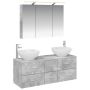 Vonios baldų rinkinys 4 pcs Betono pilka