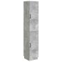 Spintelė 2 pcs Betono pilka Apdirbta mediena