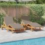 Saulės gultas su pagalve 2-asmuo 2 pcs Taupe 200 x 67 x 84cm