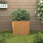 Lovelis, 32x30x29cm, Corten plienas